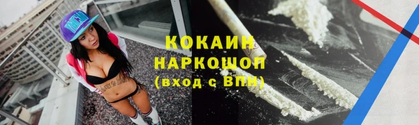 индика Баксан
