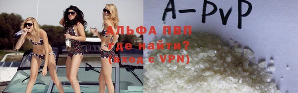 индика Баксан