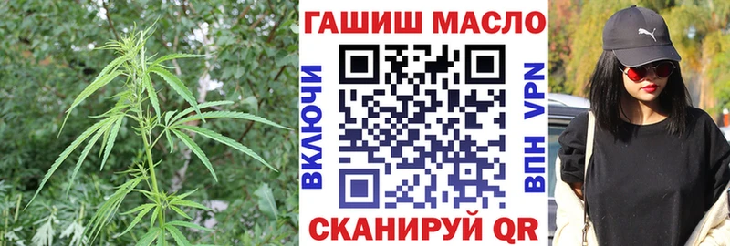 закладка  Гудермес  Дистиллят ТГК Wax 