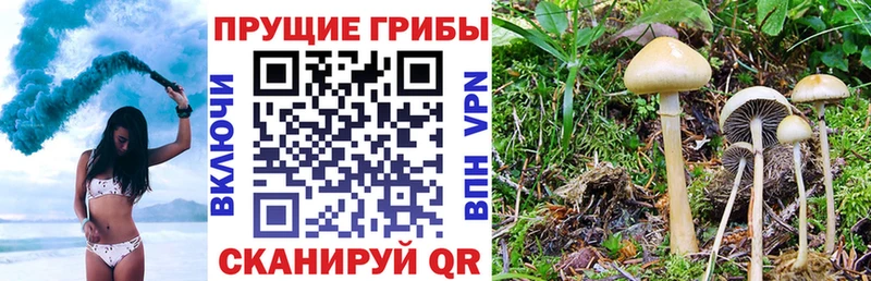 Галлюциногенные грибы мухоморы  Гудермес 